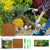 Reptile Coconut Fiber Substrate - Pressed Coir Bedding for Tortoises, Lizards & Terrariums