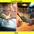 Reptile Hammock & Ladder Set – Accessories for Bearded Dragons, Geckos, Lizards, and Snakes