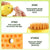Puppy Joy 3-in-1 Electric Pet Grooming & Massage Brush