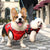 Winter Dog Coat & Jacket - Reflective Pet Apparel for Small to Medium Dogs, Chihuahua, French Bulldog, Pug