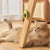 Rotatable Cat Mint Teeth Cleaning Toy