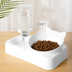2-in-1 Pet Feeder with Stainless Steel Bowls & Automatic Water Dispenser