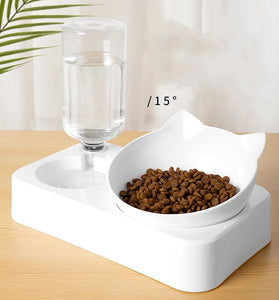 2-in-1 Pet Feeder with Stainless Steel Bowls & Automatic Water Dispenser