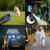 Handheld Ultrasonic Dog Trainer and Bark Deterrent Device
