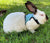Mesh Breathable Rabbit Harness and Leash Set for Small Pets