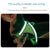 LED Light-Up Dog Harness – Adjustable & USB Rechargeable for Safety