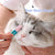 Puppy Joy Soft Pet Eye Care Brush for Dogs & Cats