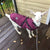 Winter Dog Coat & Jacket - Reflective Pet Apparel for Small to Medium Dogs, Chihuahua, French Bulldog, Pug