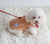 Soft Fleece Dog Sweater - Winter Pullover for Small Dogs, Chihuahua & Bulldog