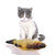 Plush Catnip Fish Toy - Non-Electric Interactive Tease Toy for Cats