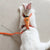 Adjustable Rabbit Harness & Leash Set for Small Animals - Outdoor Walking