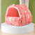 Cute Winter Hamster House & Small Pet Bed