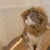Funny Pet Wig – Lion Mane Hat for Cats & Dogs
