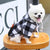 Winter Dog Hoodie - Warm Plaid Jacket with Pocket for Small to Large Dogs