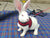 Small Animal Walking Harness and Leash Set for Rabbits, Puppies, and Small Pets