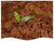 Coconut Mat Fiber Substrate - 600g Natural Bedding for Reptiles & Terrariums
