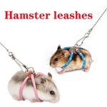 Adjustable Soft Harness and Leash for Small Pets - Birds, Hamsters, Guinea Pigs, and Ferrets