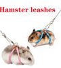 Adjustable Soft Harness and Leash for Small Pets - Birds, Hamsters, Guinea Pigs, and Ferrets