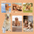 Portable Electric Dog Paw Washer & Massager