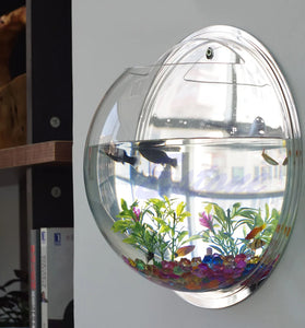 Wall-Mounted Acrylic Fish Bowl - Transparent Hanging Fish Tank & Plant Pot Planter