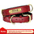 Customized Leather Dog Collar – Soft Padded with Engraved ID Nameplate for All Dog Sizes