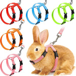 Adjustable Rabbit & Cat Harness and Leash Set for Outdoor Walking