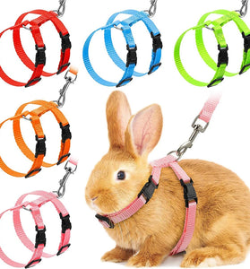 Adjustable Rabbit & Cat Harness and Leash Set for Outdoor Walking