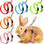 Adjustable Rabbit & Cat Harness and Leash Set for Outdoor Walking