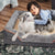 Jumbo Orthopedic Memory Foam Dog Sofa with Bolster, Waterproof, Removable Cover, and Elevated Cushion