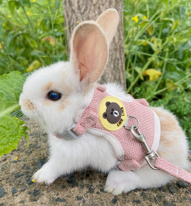 Soft Padded Vest for Small Pets