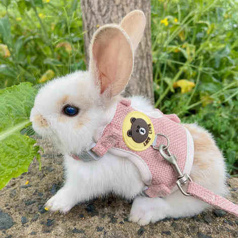 Soft Padded Vest for Small Pets