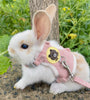 Soft Padded Vest for Small Pets