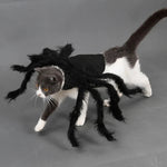 Spider Halloween Costume Small & Medium Pet Halloween Outfit

