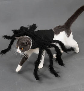 Spider Halloween Costume Small & Medium Pet Halloween Outfit
