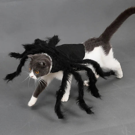 Spider Halloween Costume Small & Medium Pet Halloween Outfit
