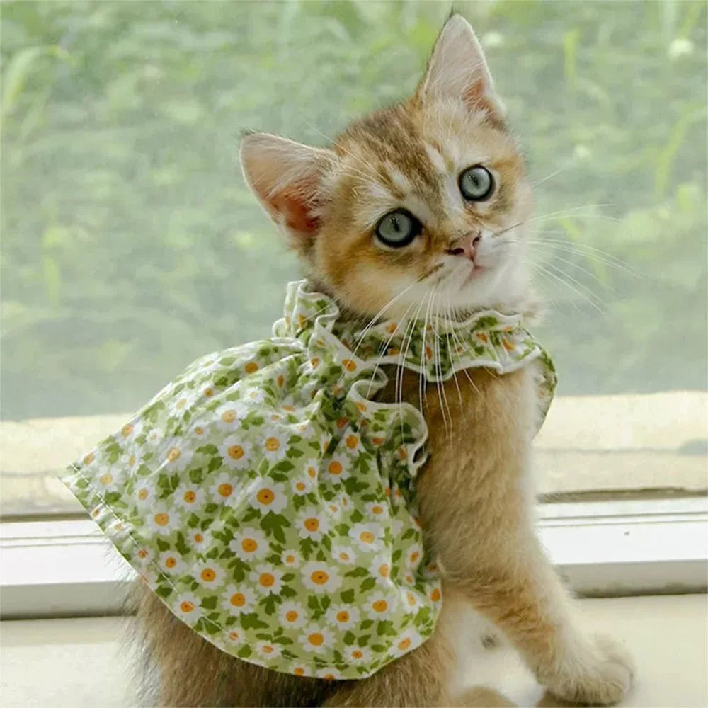 Summer Cotton Sphynx Cat Suspender Skirt, Love Flower Pet Princess Dress for Cats