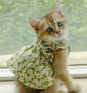 Summer Cotton Sphynx Cat Skirt costume