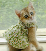Summer Cotton Sphynx Cat Skirt costume