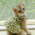Summer Cotton Sphynx Cat Skirt costume