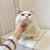 Thickened Winter Vest for Cats and Small Dogs