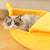 Warm Banana bed
