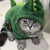 Warm Pet Costume for Cats & Dogs dinosaur
