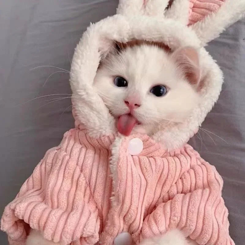 Warm Winter Clothes for Kittens, Cute Bunny Coat for Cats & Puppies