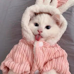 Warm Winter Clothes for Kittens
