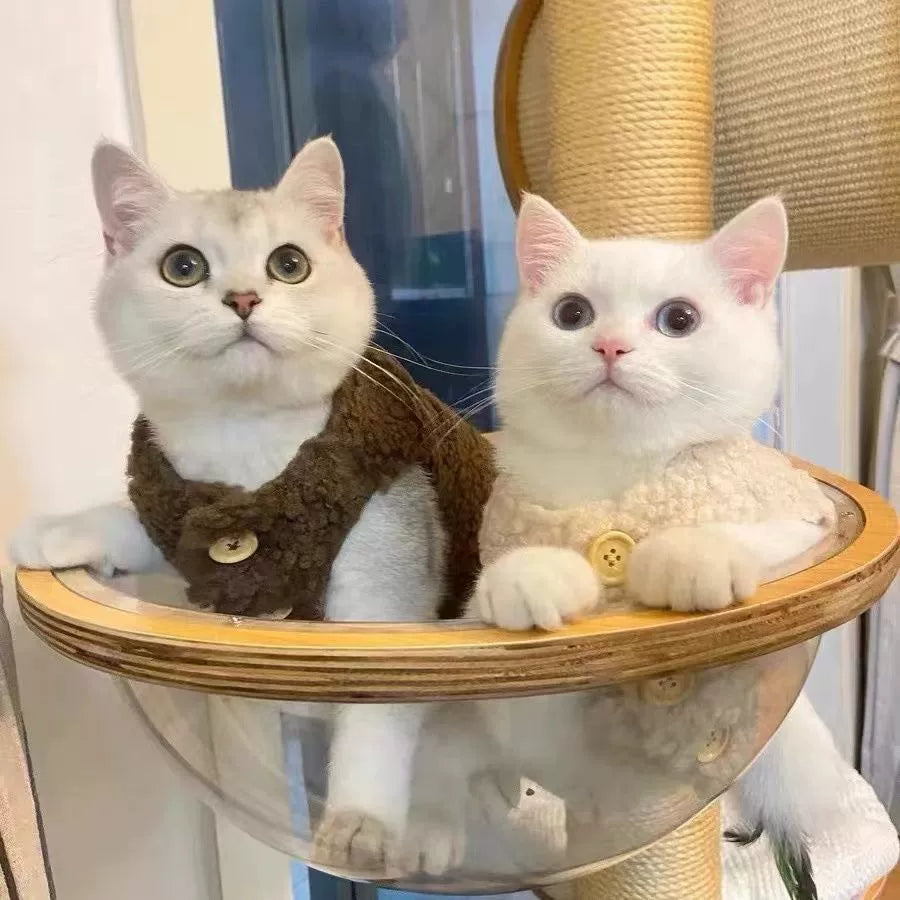 Thickened Winter Vest for Cats and Small Dogs