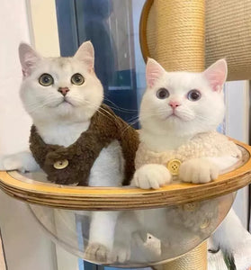Winter Cat Clothes
