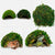 Reptile Hideout & Basking Platform for Turtles, Lizards, and More