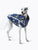 pet clothes