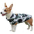 winter clothing dog